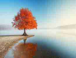 node.js自﻿动‌化‍